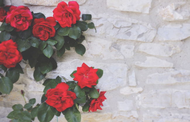 Il Colombaio di Cencio - Foto 57