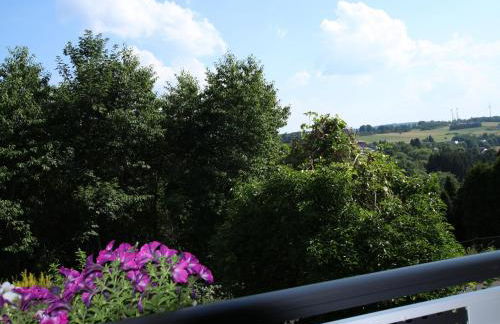 Ferienwohnung Zum Rosengarten Driedorf 3 Sterne Unterkunft im Westerwald mit Komfort & zentraler Lage - Foto 13