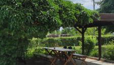 Bolschwitz 39 - Foto 4, Garden