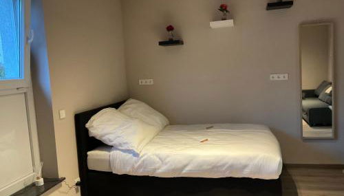 Modernes Studio am Dreiländereck - Foto 5