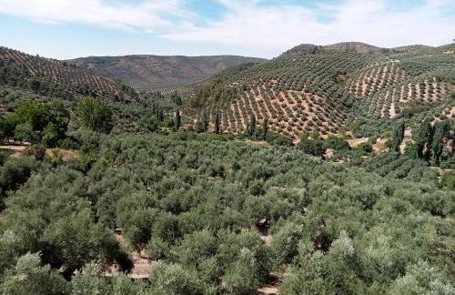 El Almendro De La Tia Teresa - Foto 14