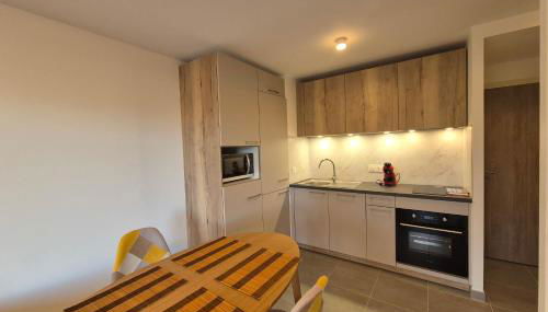 NEW ! Altitude 1327 Residence at the foot of the slopes - Foto 5