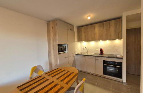 NEW ! Altitude 1327 Residence at the foot of the slopes - Foto 5