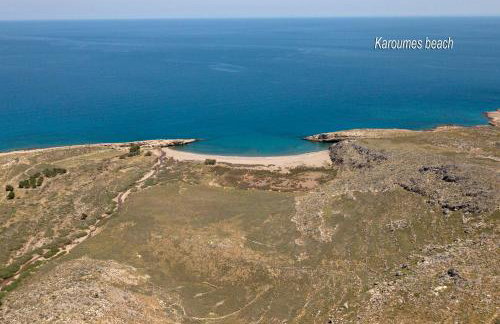 Mandarini House - Foto 41