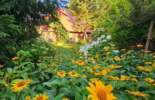 Warmiński dom nad jeziorem - Foto 8