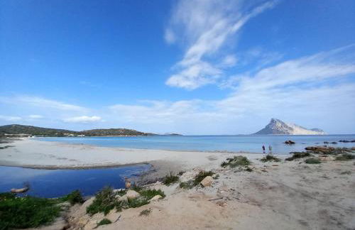 Flamingo's Home - Foto 16