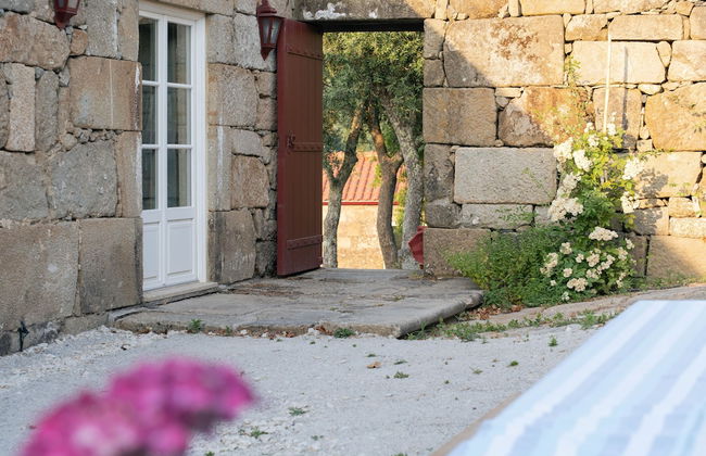 Feel Discovery Casa da Granja in Douro - Foto 14