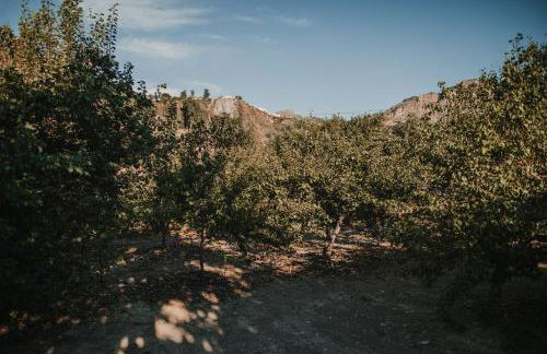 Vivelorural Tunte 4 great pool & BBQ - Foto 20