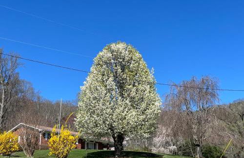 Mamaws Mountain View - Foto 37