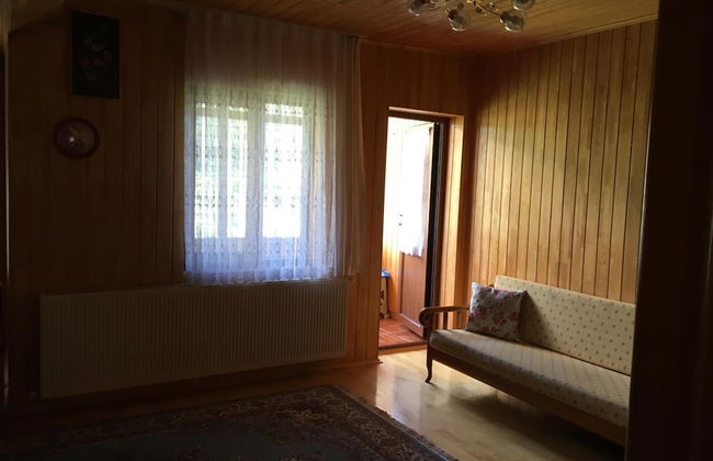 Zeren Pansiyon - Photo 26