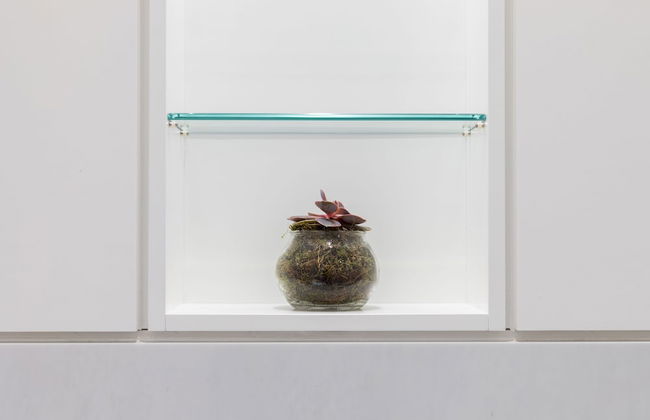 VI Castle Lane - Foto 27