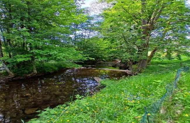 Chalet in St Maurice Near Ballon D'alsace - Foto 35