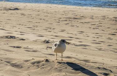 Baltic Haus Nathalie - Foto 52