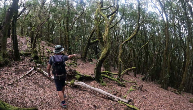 Descubriendo el Parque Rural de Teno