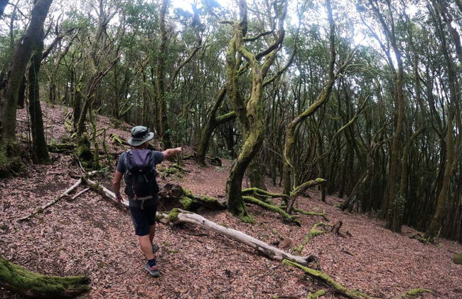 Senderismo por el interior del Parque Rural de Teno - Foto 5