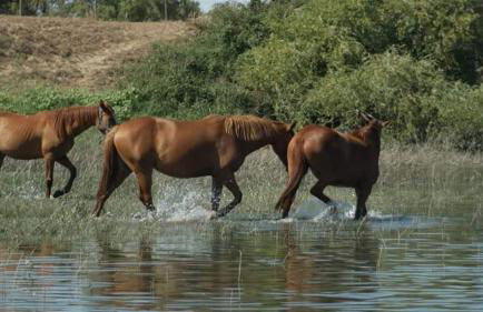 Villa Rio by Valada Village - Foto 76