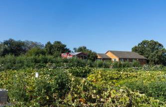 Serene Vineyard•Deck, Pickleball, Views~ Near Town - Foto 25