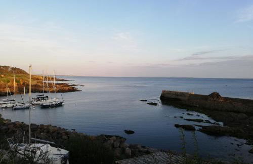Kerguil-édouard charmante longère en pierres refaite à neuf - Foto 42