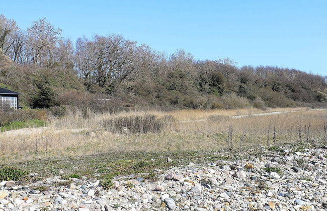 4 Person Holiday Home in Martofte-by Traum - Foto 25