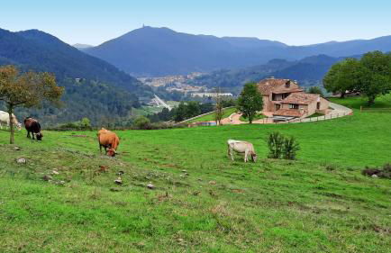 El Guitart - Turisme Rural - Foto 5