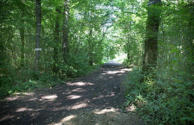 Durbuy Forest Villa With Pool - Foto 70