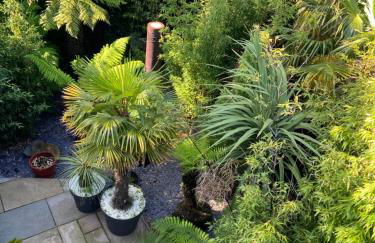 Jungle Cabin - Foto 44