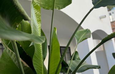 Boutique apartment 365 - Marbella - Photo 14