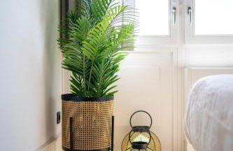 Apartamentos Turísticos Casa Arango - Foto 76