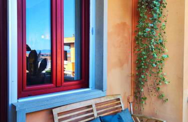 I levrieri Colombo - Foto 13