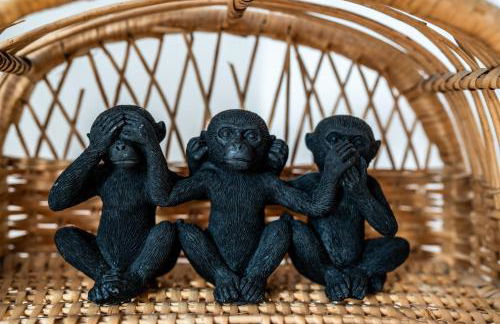 La Maison Paisible - Route des Vins - Foto 32