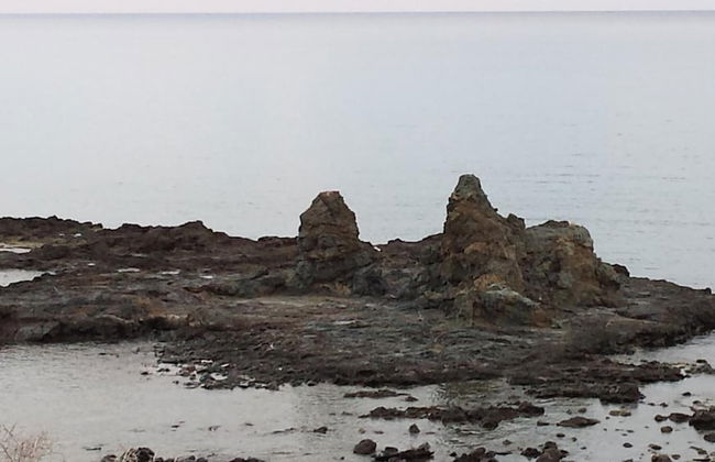 Sun Camero Apartments - Photo 31