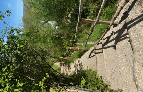 Tiny House au coeur de la nature - Photo 8