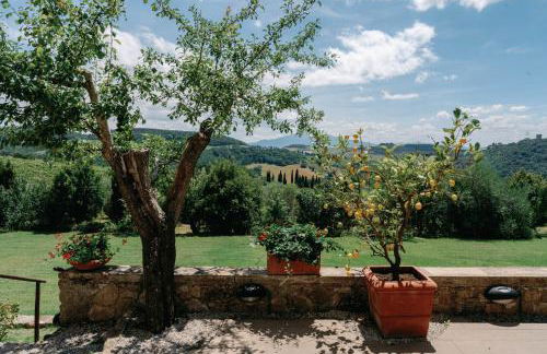 Terre di Nano - Foto 10