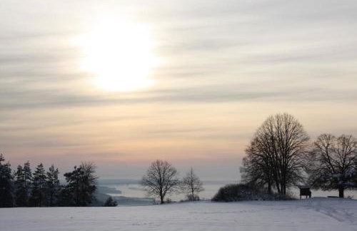 Ferienwohnungen Christine - Foto 44
