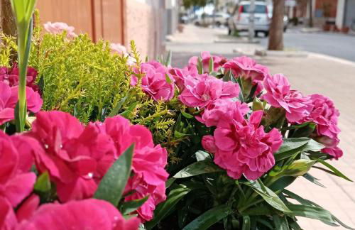 CAMARDA SUITE - Foto 45