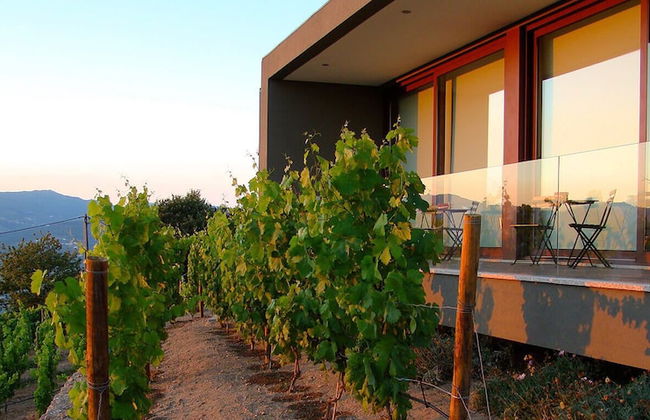 Vald'arêgos Douro Turismo Rural - Foto 28