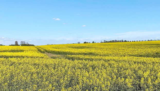 4 Star Holiday Home in Bastad-by Traum - Foto 2, Miscelánea