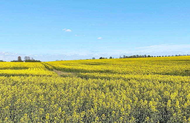 4 Star Holiday Home in Bastad-by Traum - Photo 2