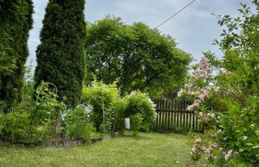 Dom na skraju Puszczy Białowieskiej - Foto 36