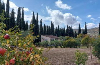 Casita Cacahuete - Foto 13