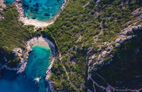 Sunsea Wellness Resort - Foto 37