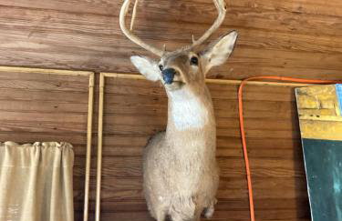 High Meadows Estate - Foto 38