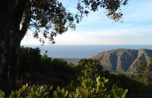 Casa La Quercia- Tra Cefalù ed il Parco delle Madonie - Foto 24