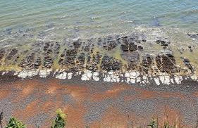 3 Bed House Stunning Views And Free Parking - Foto 38