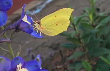 Schmeling Haus Bad Saarow - Photo 5