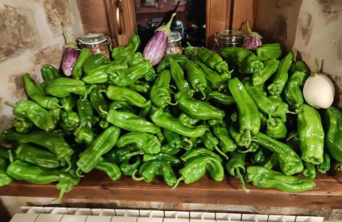 Mirador De Picos - Foto 38