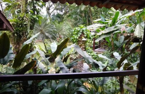 Casa de campo na praia - Foto 11