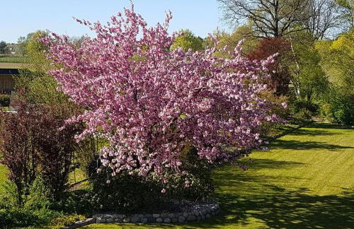 Ferienwohnung Seevetal - Foto 38