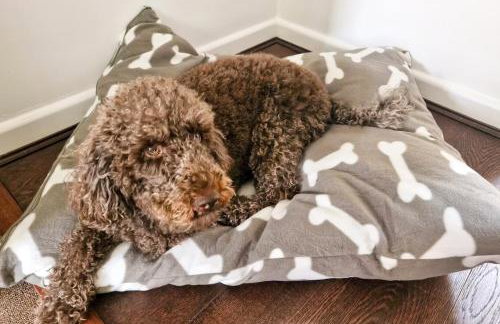 Howells Cottage - Foto 9