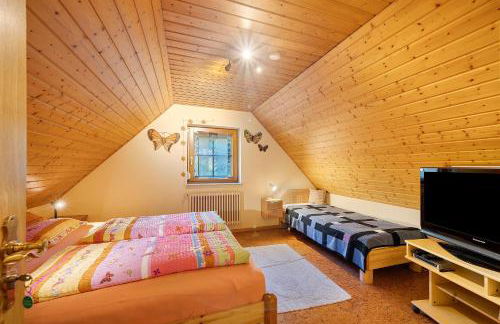 Ferienwohnungen Müller - Foto 35